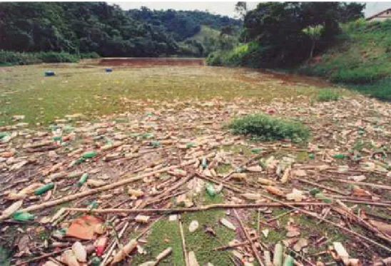 Figura 6: Resíduos em suspensão – rio Paraíbuna – MG  Foto: Acervo Cooperação Brasil-França,1998 