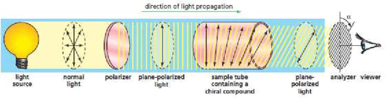 Figura 10  – Esquema de um polarímetro 