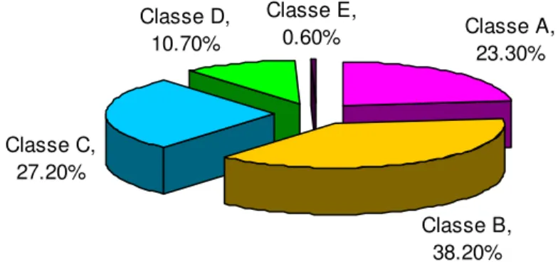 Figura 1 Participação das classes sócio-econômicas no consumo*  Fonte: Target Marketing (2005) 