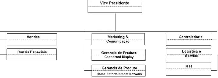 Figura 7: Organograma Empresa X  Fonte: Empresa X 