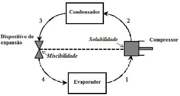 Figura 1. Ciclo de refrigeração por compressão de vapor com comportamentos críticos  da mistura óleo/refrigerante (Fonte: O Autor, 2015)
