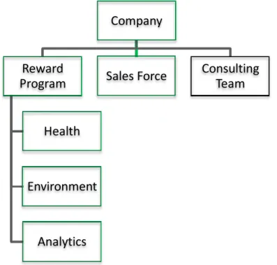 Figure 9 – Organizational Structure 