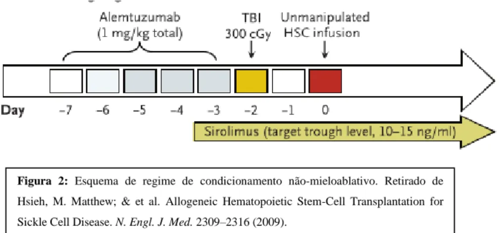 Figura  2:  Esquema  de  regime  de  condicionamento  não-mieloablativo.  Retirado  de  Hsieh,  M