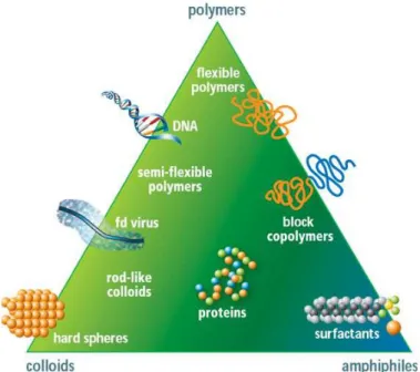 Figure 1.2: Illustrative triangle showing the continuum of molecules and materials which ﬁlls the space between spherical colloids, ﬂexible polymers, and surfactants