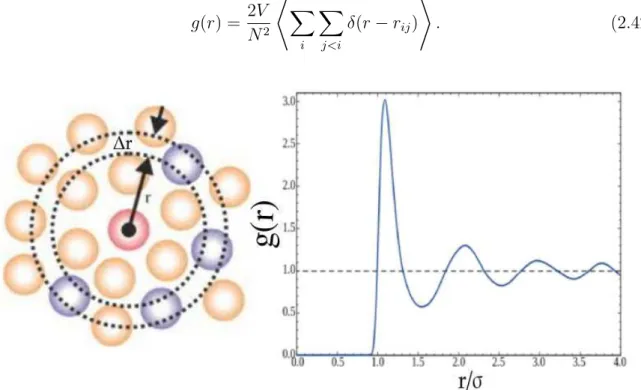 Figure 2.4: Illustration of evaluation of the pair correlation function. (a) In the center there is a reference particle (pink circle)
