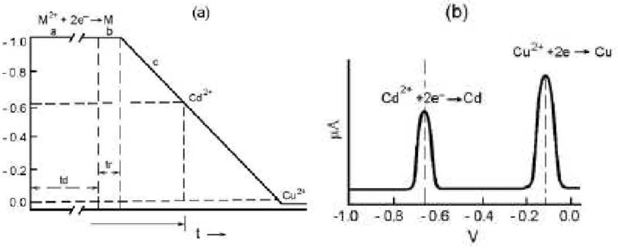 Figura 3.2 - Voltametria de redissoluçao anodica, indicando o processo de eletrodeposição com potencial 
