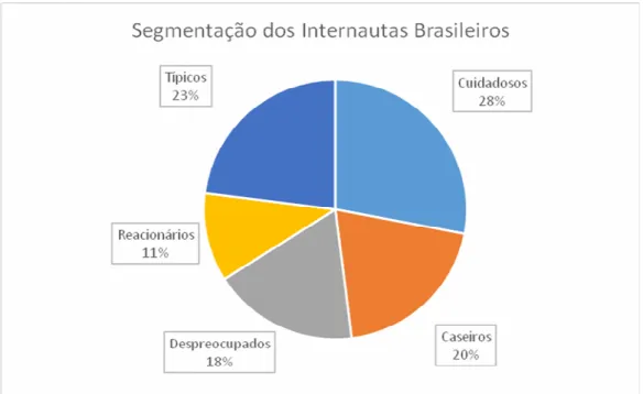 Gráfico 5 - Representação do perfil dos segmentos dos internautas brasileiros 
