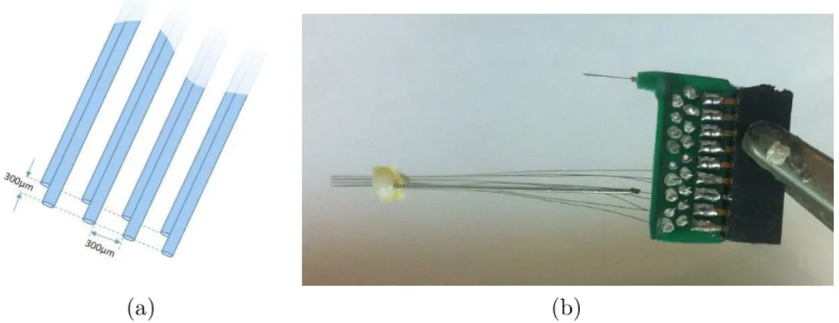 Figura 4.2: Matrizes de eletrodos. (a) as matrizes 2x4 implantadas no CPFm e no hipocampo foram confeccionadas com eletrodos de tungstênio 50µm e espaçamento de 300µm; (b) Foto de uma matriz utilizada nos implantes.