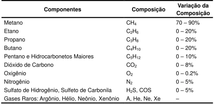 Tabela 3  –  Composição generalizada do gás natural. 