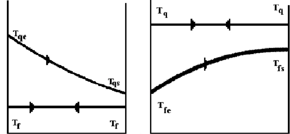 Figura 3.2 - Evolução da temperatura no permutador quando há mudança de fase numa das correntes (Pinho, 2014)