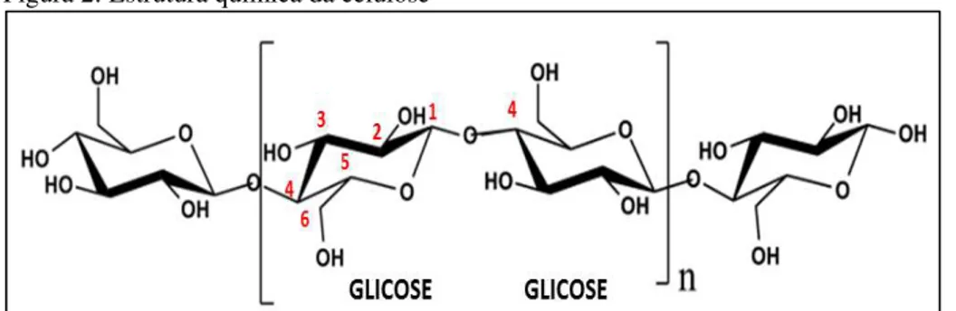 Figura 2: Estrutura química da celulose 