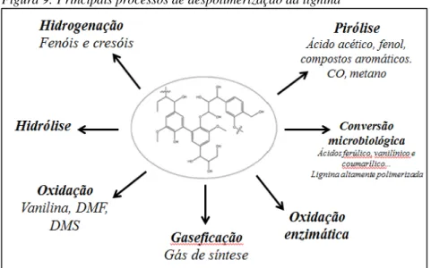 Figura 9: Principais processos de despolimerização da lignina 