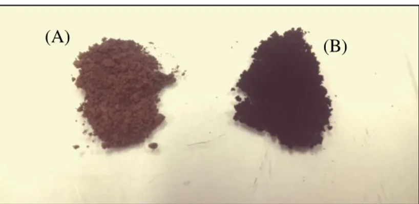 Figura 13: (A) Lignina recuperada a partir do licor negro; (B)  Lignina lavada com hexano