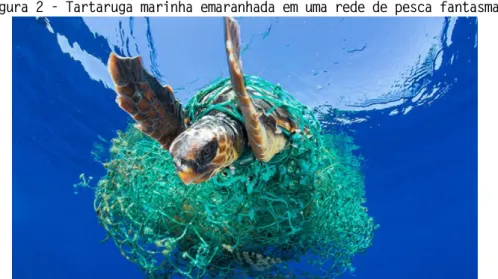 Figura 2 - Tartaruga marinha emaranhada em uma rede de pesca fantasma.  