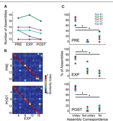 FIGURE 3 | Cell assemblies are highly conserved across experimental periods. (A) Number of assemblies detected using spike matrices from the different experimental periods