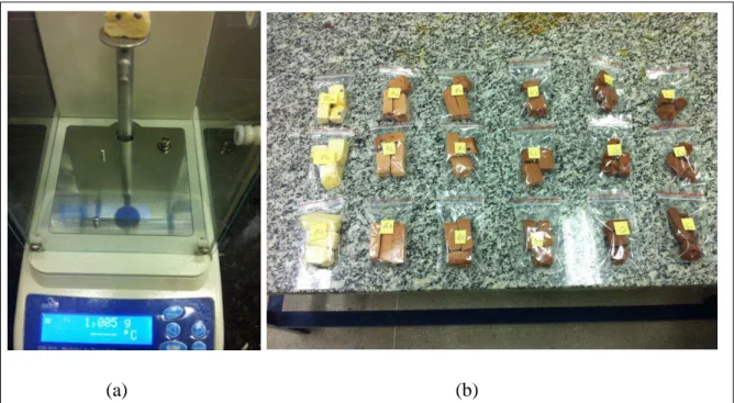 Figura 3.7  – Amostra de 1g do corpo de prova: (a) Pesagem e (b) Corpos de prova para imersão de água 