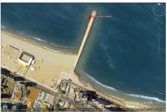 Figura 1 - Imagem de satélite da Praia do Náutico, Fortaleza-CE 