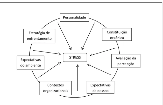 Figura 1  –  Fatores que determinam o estresse. 