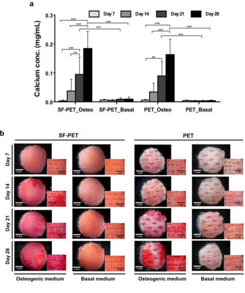 Figure  4.  (a)  Calcium  quantification  on  the  SF-PET  and  PET  knitted  spacer  fabrics,  cultured  with  hASCs  in  osteogenic  and  basal  medium  for  7,  14,  21  and  28  days