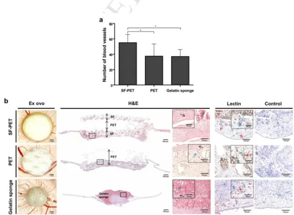 Figure  6.  Quantitative  and  qualitative  expression  of  osteogenic-related  markers  by  hASCs  after  28  days  of  culture on the SF-PET and PET knitted spacer fabrics