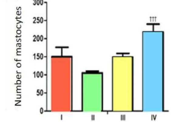 Figure 6 -  Mastocyte count in the first arm of the  experiment (prevention + treatment)