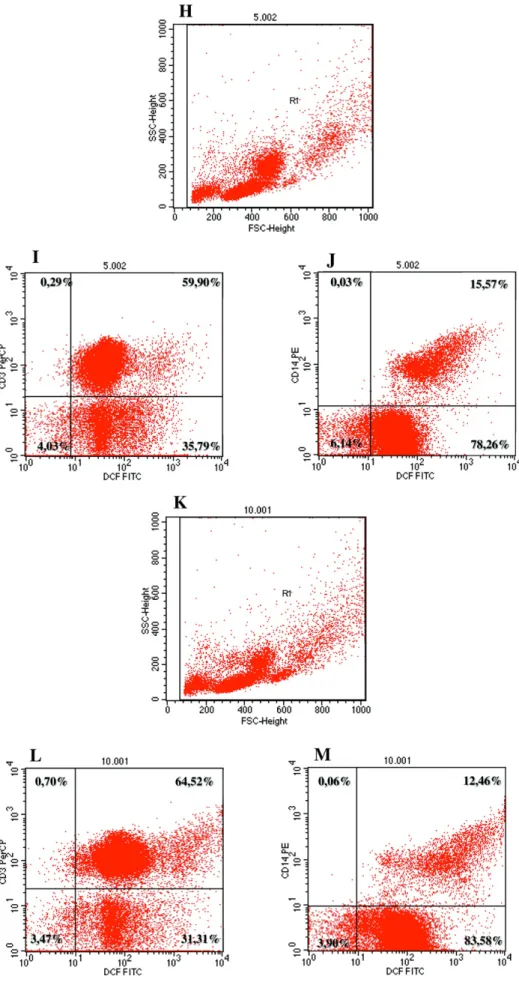 Fig. 6. Effect of BjcuL on ROS production. PBMCs (1 × 10 6 ) were incubated with RPMI (negative control; A ➔D), PMA (500 ng/mL, positive control, E ➔ G) or BjcuL (5 and 10 μg/mL; H ➔J and K ➔ M) in RPMI without phenol red for 3 h at 37 °C, in a humidiﬁed a