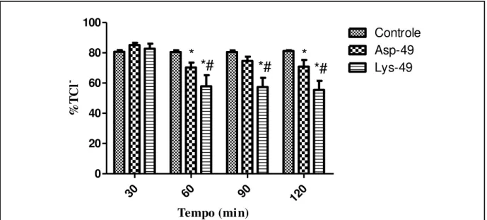 Figura 21: Efeitos promovidos por Lys-49 e Asp- 49 3μg/mL  no percentual de transporte tubular  total de cloreto (%TCl - )