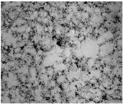 Figura 11 –  Micrografia ótica da liga Fe-Ni sinterizada, sem ataque, com ampliação de 100x.