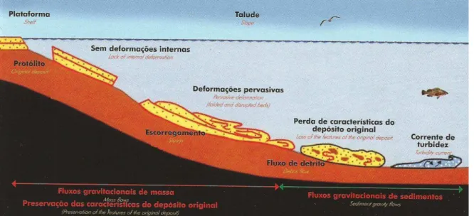 Figura 2.1. Comparação entre os depósitos gerados por fluxos gravitacionais de massa  (deslizamentos e escorregamentos) e os gerados por fluxos gravitacionais de sedimentos