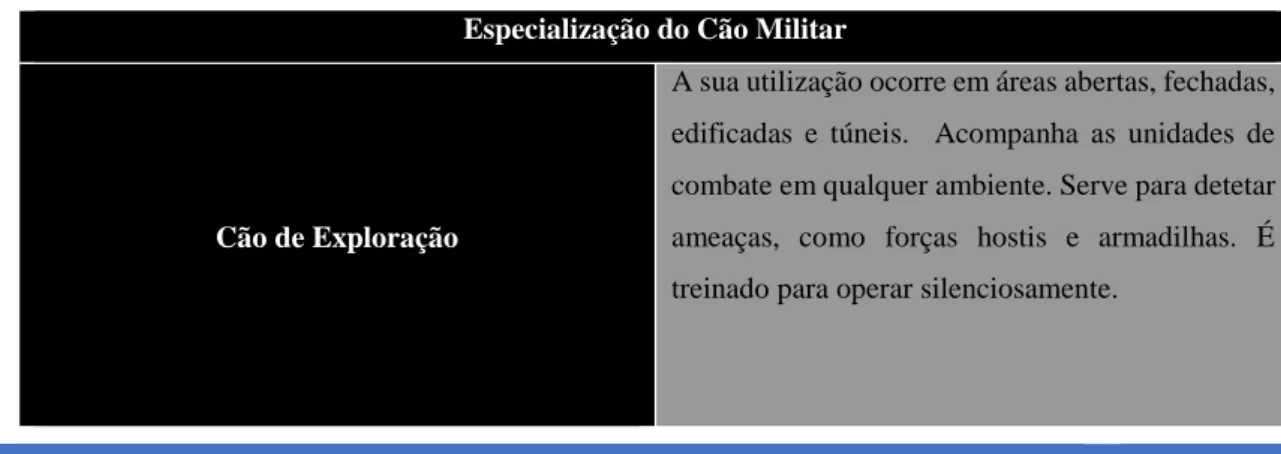 Tabela 5: Especialização do Cão Militar, no Exército Português 