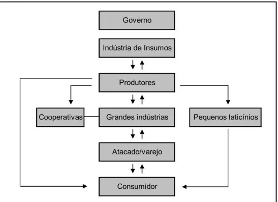 Figura 1: Sistema Agroindustrial do Leite