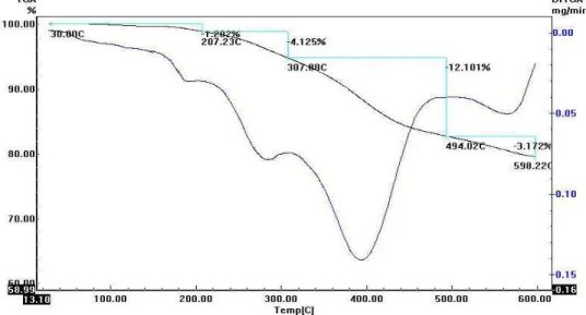 Figura 06 - Resultados da análise termogravimétrica da resina comercial (resina controle) 