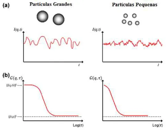 Figura 6. Esquema da medida da intensidade de luz espalhada (a) e a sua correspondente 