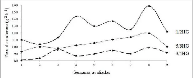 Figura 1  –  Variação na taxa de sudorese de vacas Girolando 1/2, 5/8 e 3/4 HG durante  o período experimental (Adaptado de Lima et al., 2013)