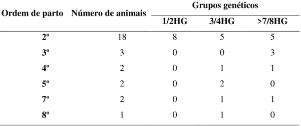 Tabela 1 - Ordem de partos e números de animais que compõem os grupos genéticos  1/2HG, 3/4HG e &gt;7/8 HG 