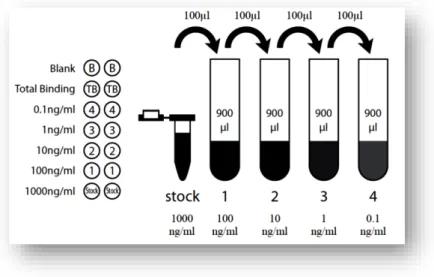 Figura 8- Preparação das soluções padrão de peptídeo. Fonte: PHOENIX PHARMACEUTICALS, 2015 