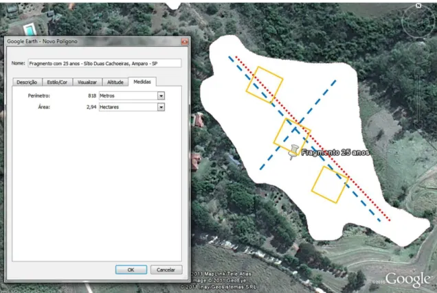 FIGURA 10. Área de estudo com 25 anos no Sítio Duas Cachoeiras (Fonte: Google Earth). 