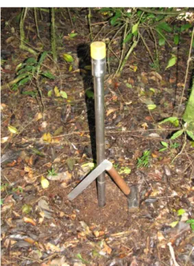 FIGURA 16. Coleta das amostras de solo com a sonda. No detalhe, a camada superficial do  solo abaixo da serapilheira (Foto: Thiago J Roncon)
