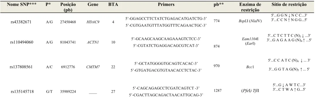Tabela 3- Resumo das descrições das posições e localizações dos SNPs, sequência dos primers e enzimas de restrições para genotipagem para  PCR-RFLP    