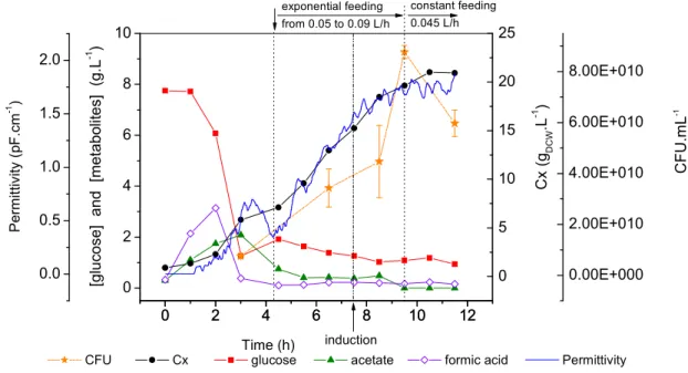 Figure  1 K  Cell  growth,  substrate  consumption  and  metabolites  formation  during      Experiment  #1