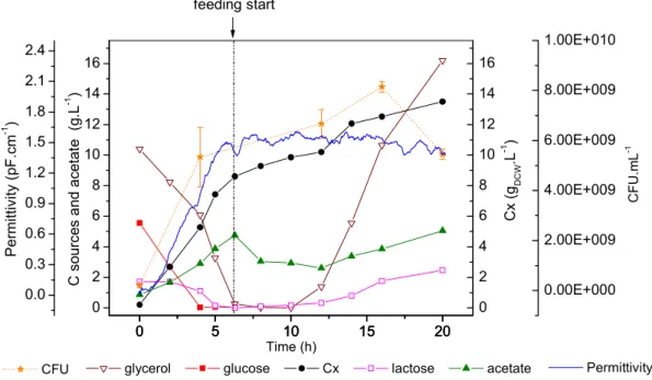 Figure  2  –  Cellular  growth,  substrate  consumption  and  metabolites  formation  during  Experiment  #2