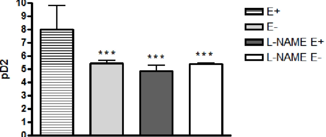Figura  23  -  Emax –   após  incubação  com  L-NAME  em  aorta  de  ratos  2R:  Gráfico  representando  o  percentual  máximo  de  relaxamento  induzido  pelo  Deta-NO  de  anéis  de  aorta com (E+) e sem (E-) endotélio de ratos hipertensos incubadas com 