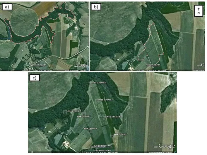 Figura 5  –  Área 2:  a) fragmento de mata nativa com aproximadamente 40 hectares. b) plantação de  tangerina com 13 hectares