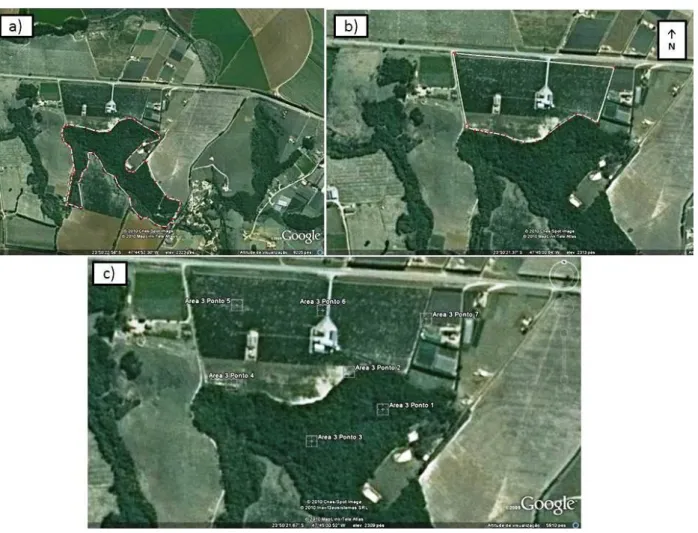 Figura 7 – Área 3: a) fragmento de mata nativa com aproximadamente 19 hectares. b) plantação de tangerina com 16  hectares
