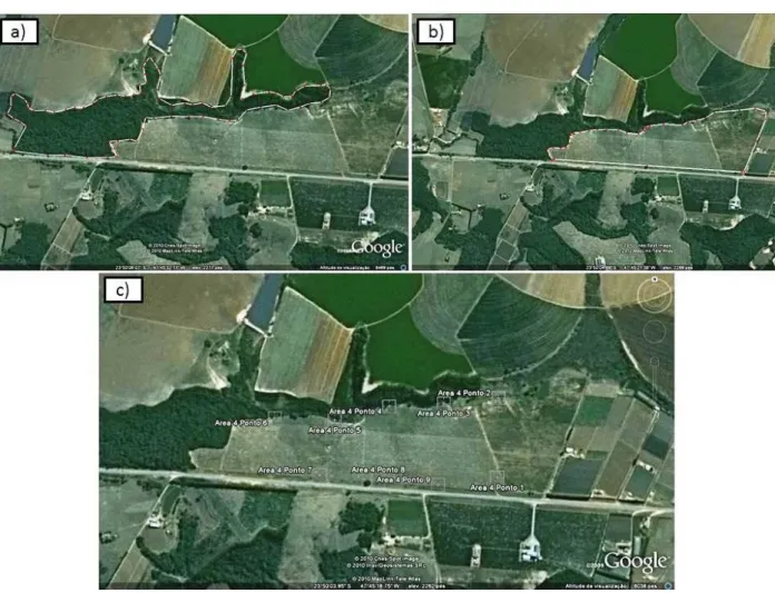 Figura 9  –  Área 4: a) fragmento de mata nativa com aproximadamente 25  hectares. b) plantação de tangerina com 42  hectares