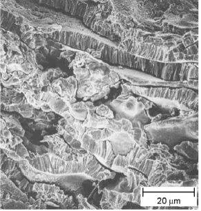 Figura  2.11  Fractografia  da  seção  transversal  da  estrutura  lamelar  de  uma  camada de tungstênio aspergida por plasma [12]