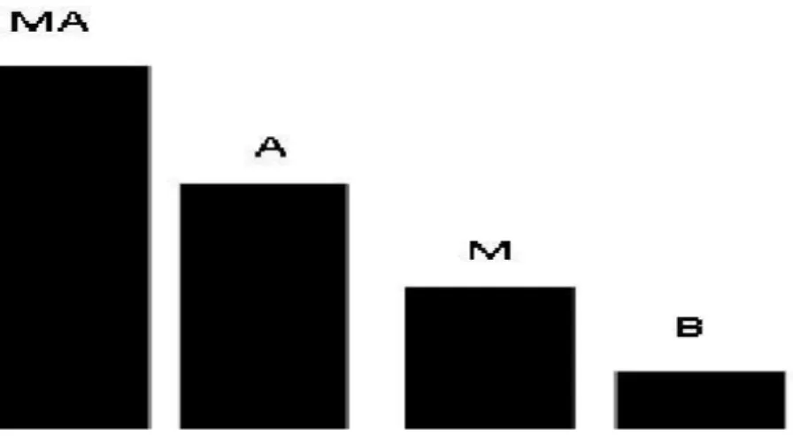 Figura 3: Escala visual para os graus de Significado e Satisfação. Fonte: Elaborado pela autora.