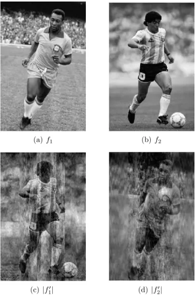 Figure 1.3: Illustration of the process given in equation (1.18); (a) and (b) show the original functions f 1 and f 2 , while (c) and (d) show the absolute values of the resulting functions, f 1′ and f 2′ , after exchanging their phase in the Fourier domai