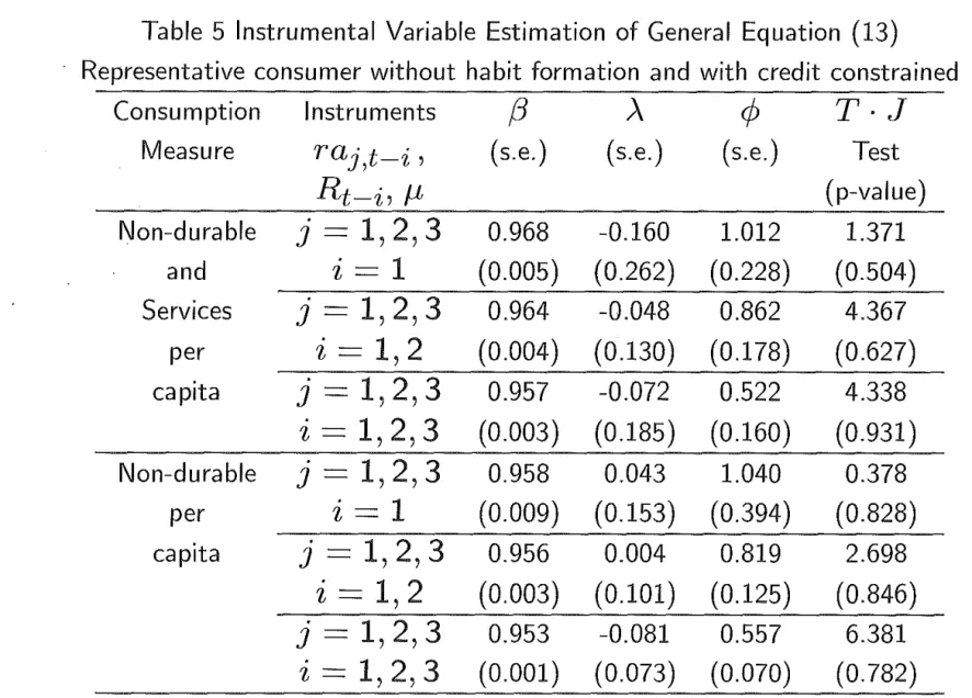 Table  5  Instrumental  Variable  Estimation  of General  Equation  (13) 