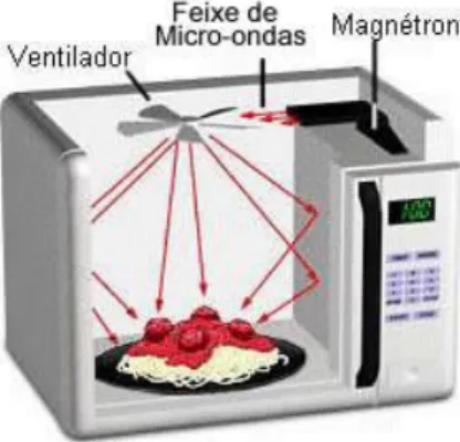 Figura 15: Forno micro-ondas. Imagem retirada do google. 